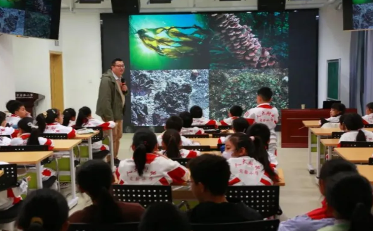 1765268127383430.png image.png